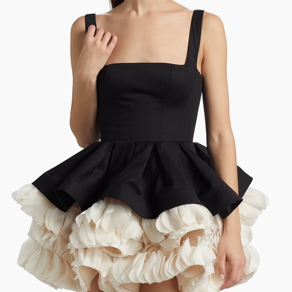Bronx and Banco
Catalina Ruffled Satin Minidress - Picture 3 of 5